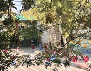 Navigating Access and Positionality During Fieldwork in a Government Girls’ School