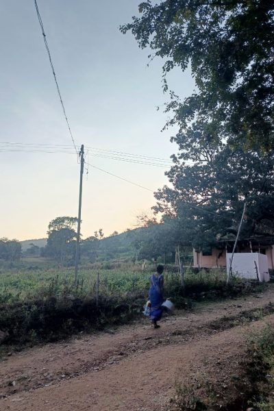 A view from the field.